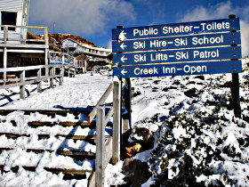 Ben Lomond National Park - Palm Beach Accommodation 0