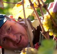 Puddleduck Vineyard - Palm Beach Accommodation