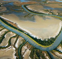 The Wilderness Gallery - Palm Beach Accommodation