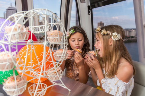 The Wheel Of Brisbane - Palm Beach Accommodation 2