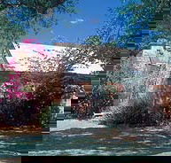 Springvale Homestead - Palm Beach Accommodation