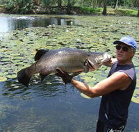 Barra Feeding - Palm Beach Accommodation