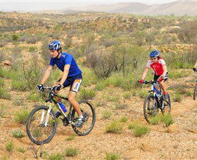 Araluen Mountain Bike Trails - Palm Beach Accommodation 0