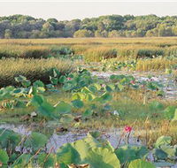 Fogg Dam Conservation Reserve - Palm Beach Accommodation