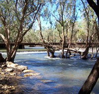 Low Level Nature Reserve - Palm Beach Accommodation