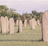 Magnetic Termite Mounds - Palm Beach Accommodation
