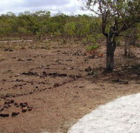 Wurrwurrwuy Garanhan Macassan Beach Interpretive Walk - Palm Beach Accommodation