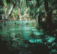 Mataranka Thermal Pool - Palm Beach Accommodation