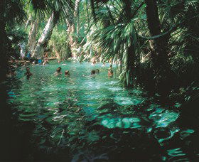 Mataranka Thermal Pool - Palm Beach Accommodation 0