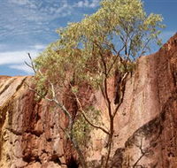 Ochre Pits - Palm Beach Accommodation
