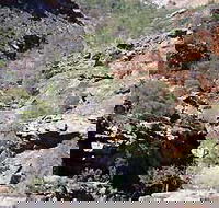 Serpentine Chalet Bush Camping Area - Palm Beach Accommodation