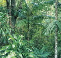 Westside Track Maiala - Palm Beach Accommodation