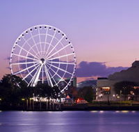 The Wheel of Brisbane - Palm Beach Accommodation