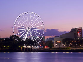The Wheel Of Brisbane - Palm Beach Accommodation 0