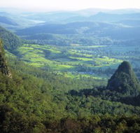 Springbrook Plateau Springbrook National Park - Palm Beach Accommodation