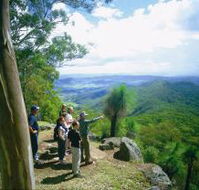 Gold Coast Hinterland Great Walk - Palm Beach Accommodation