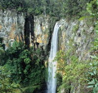Gondwana Rainforests of Australia - Palm Beach Accommodation