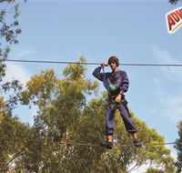 Adventure Parc at Currumbin Wildlife Sanctuary - Palm Beach Accommodation
