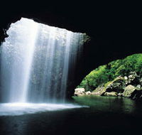 Natural Bridge Springbrook National Park - Palm Beach Accommodation