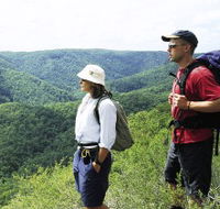 Sunshine Coast Hinterland Great Walk - Palm Beach Accommodation