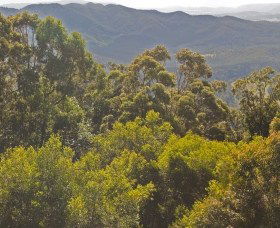 Reesville QLD Palm Beach Accommodation