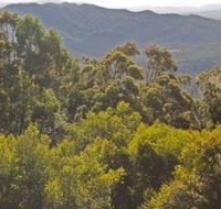 Conondale National Park - Palm Beach Accommodation