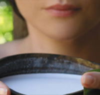 Ikatan Day Spa - Palm Beach Accommodation
