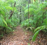 Delicia Road Conservation Park - Palm Beach Accommodation