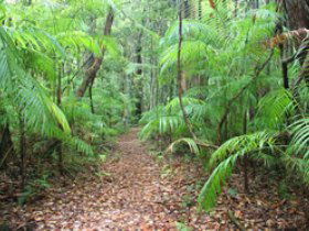 Delicia Road Conservation Park - Palm Beach Accommodation 0