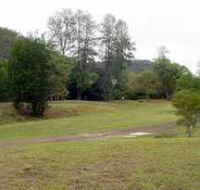 Brooyar State Forest - Palm Beach Accommodation