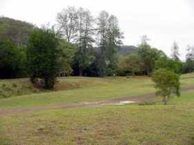 Brooyar State Forest - Palm Beach Accommodation 0