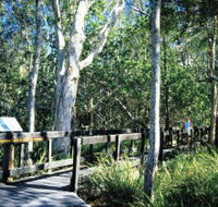 Kinaba Track - Palm Beach Accommodation