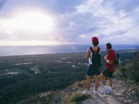 Mount Coolum National Park - Palm Beach Accommodation 0