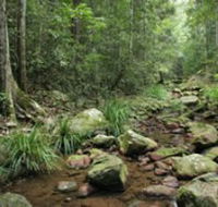 Amamoor State Forest - Palm Beach Accommodation