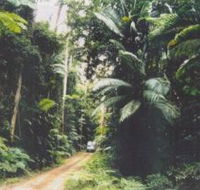 Conondale Great Walk - Palm Beach Accommodation