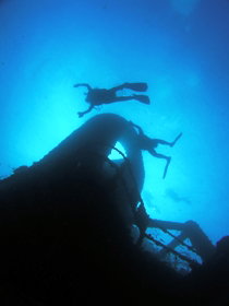 Ex HMAS Brisbane Dive Site - Palm Beach Accommodation 0