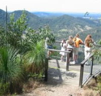 Mapleton Forest Reserve - Palm Beach Accommodation
