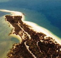 Inskip Peninsula Recreation Area - Palm Beach Accommodation