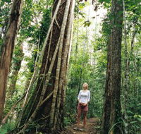 Wet Tropics - Palm Beach Accommodation