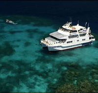 Fish Bowl Dive Site - Palm Beach Accommodation