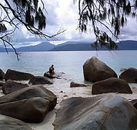 Summit Track Fitzroy Island National Park - Palm Beach Accommodation