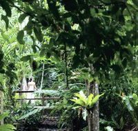 Flecker Botanic Gardens - Palm Beach Accommodation
