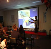 Reef Teach - Palm Beach Accommodation