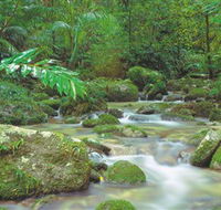 Mossman Gorge Daintree National Park - Palm Beach Accommodation