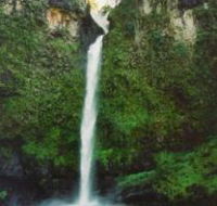 Nandroya Falls Circuit Track Wooroonooran National Park - Palm Beach Accommodation