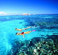 Northern Great Barrier Reef - Palm Beach Accommodation