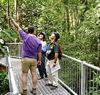 Daintree Discovery Centre - Palm Beach Accommodation