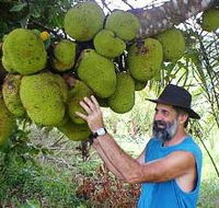 Cape Trib Exotic Fruit Farm - Palm Beach Accommodation