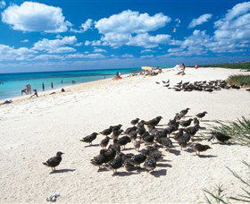 Michaelmas And Upolo Cays National Park - Palm Beach Accommodation 0