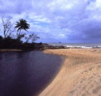 Russell River National Park - Palm Beach Accommodation